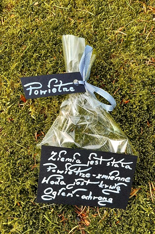 zywioly-powietrze